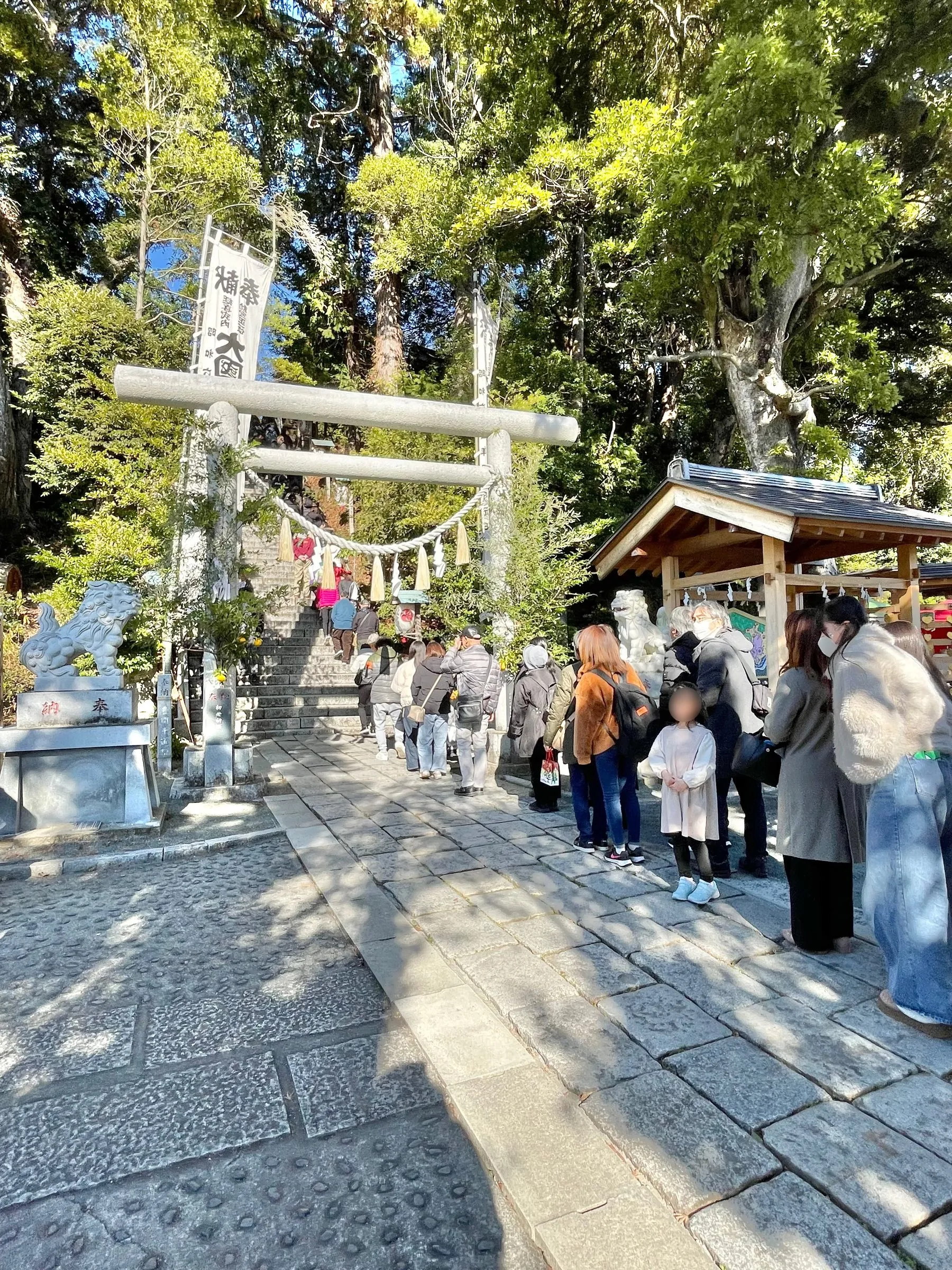 お正月、参道に並ぶ参拝の列